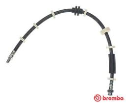 BREMBO T23031 - LATIGUILLO