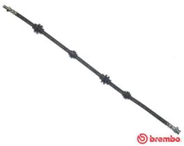 BREMBO T23037 - LATIGUILLO