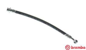 BREMBO T79005 - LATIGUILLO