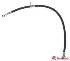 BREMBO T28100 - LATIGUILLO