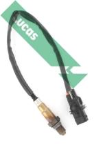 LUCAS LEB929 - SENSOR OXIGENO