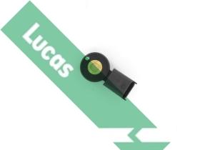 LUCAS SEB7753 - SENSOR DETONACION