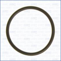 AJUSA 16030000 - TORICA