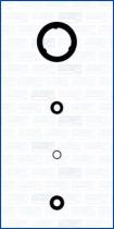 AJUSA 77011300 - JUEGO DE JUNTAS,INYECTOR