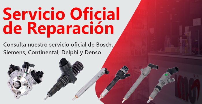 Comprobación de Inyección